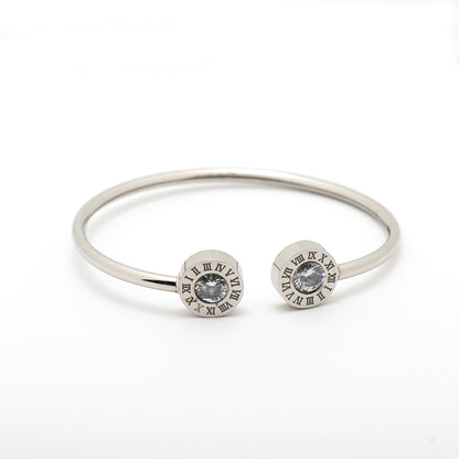 stainless steel bangle with 2 crystals.